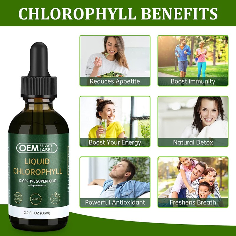 Premium Chlorophyll Drops - Energy Booster & Antioxidant Support for Detox and Weight Management
