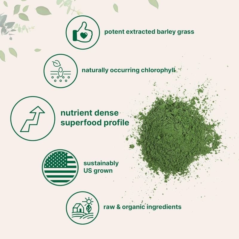 Vitahealthy Organic Barley Grass Extract Powder - 100% Pure Water Soluble Food Supplement Rich in Vitamins
