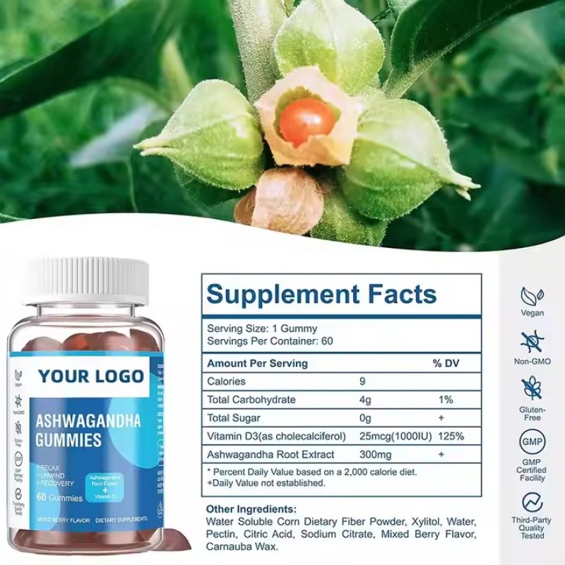 Oem Sugar Free Gummies Ashwagandha  Gummies Health Food Maca Ksm-66  Antistress Calm Gummies