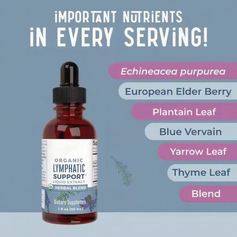 Lymphatic Support Drops Echinacea Elderberry Blue Vervain Vegan Herbal Extract Immune  Cleanse Drops