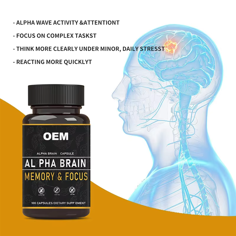 OEM for  Memory & Focus Support Capsules 100 Caps Dietary Supplement with Alpha GPC & Huperzine a Herbal Supplements