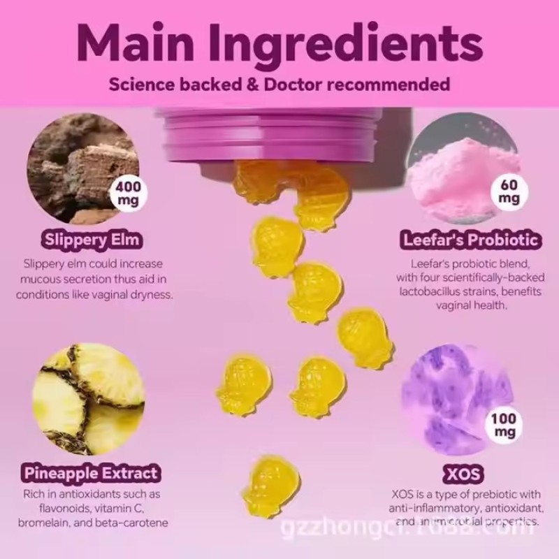 Elm Pineapple Women's Probiotic Gummies Factory Direct Sale for Adults and Pregnant Women TK Foreign Trade Cross-Border