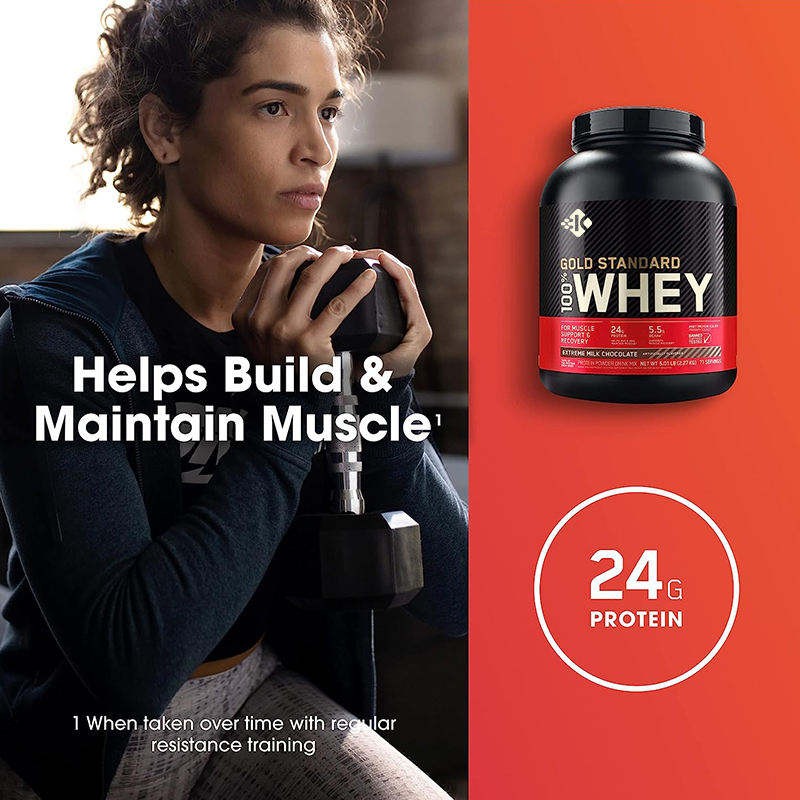 Organic Sugar Free Fitness Sport Gym Weight Gain Supplements for Bodybuilding Mass Gainer Whey Protein Powder