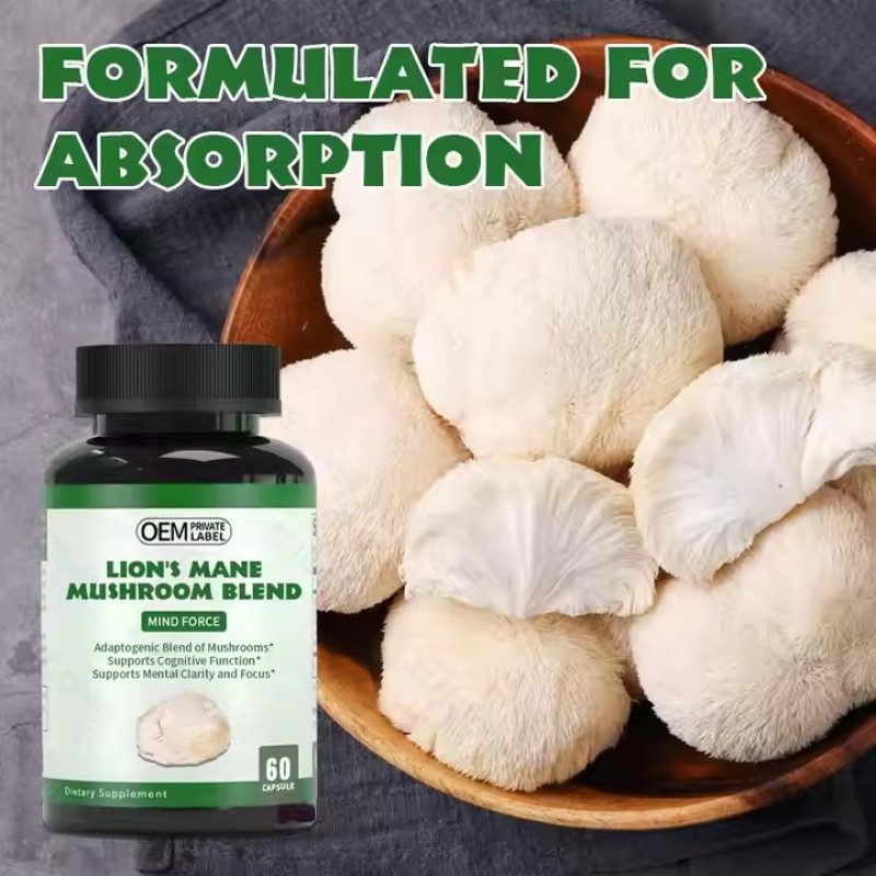 Private Label Organic Hericium Mushroom Extract Nootropics Brain Supplement Lions Mane Capsules Memory & Energy
