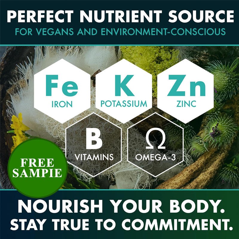 Irish Seaweed Advanced Immune Intestinal Supplement Capsules Antioxidant Burdock Root Bladderwrack Muira Puama for Adults