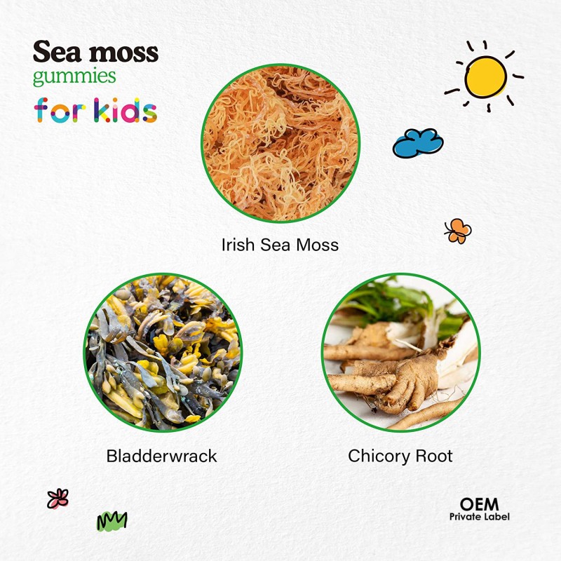 OEM  Kids Sea Moss Gummies for Immune and Thyroid Health with Chicory Root, Bladderwrack, and Burdock Root