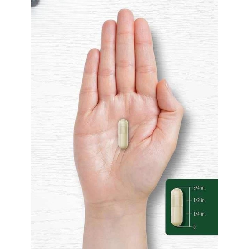 Hot-Selling Own Brand Cleansing Capsules Adult Intestinal Detoxification Health Supplement Not for Pregnant Women