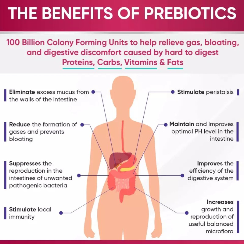 Vaginal Probiotic Gummies , Probiotics & Digestive Enzymes for Women's Urinary Tract Health