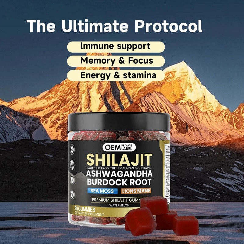 3-in-1 Herbal Gummy Shilajit Ashwagandha Antioxidant Enhance Energy Enhance Adult Seaweed Lion's Mane