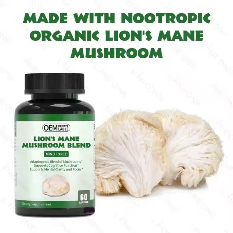 Private Label Organic Hericium Mushroom Extract Nootropics Brain Supplement Lions Mane Capsules Memory & Energy