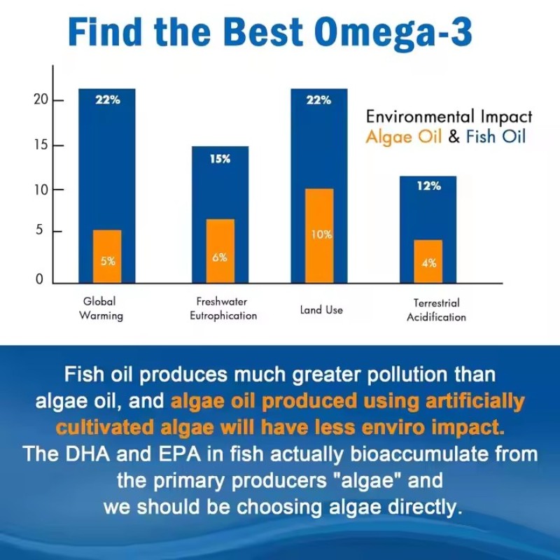 Private Label Nature Healthcare Supplement Omega 3 EPA DHA From Algae Oil 1600mg Gummies Brain Development Booster Omega Gummies