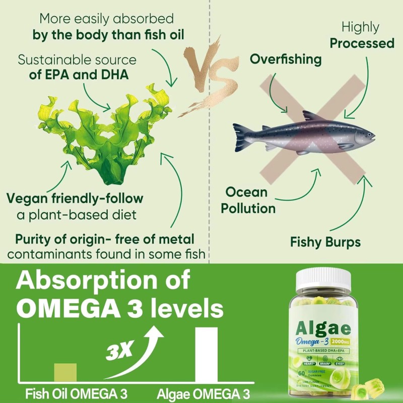 OLLI OEM Algae Gummies - 2000mg Omega 3 Alternative with EPA & DHA