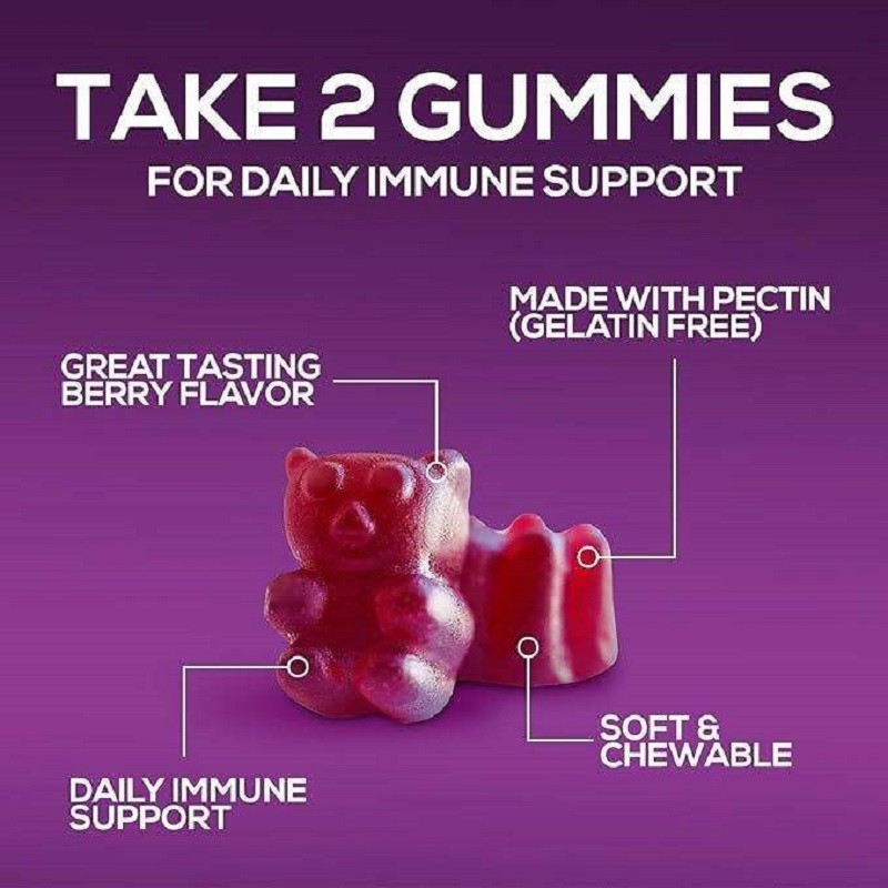 Vegetarian Elderberry Gummy with Echinacea Probiotics Vitamin c Zinc Adult-Immune Enhancement Elderberry Gummy