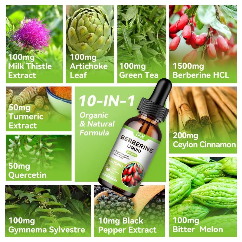 Premium Berberine Liquid Drops Custom OEM Private Label Herbal Supplement for Digestive and Heart Health