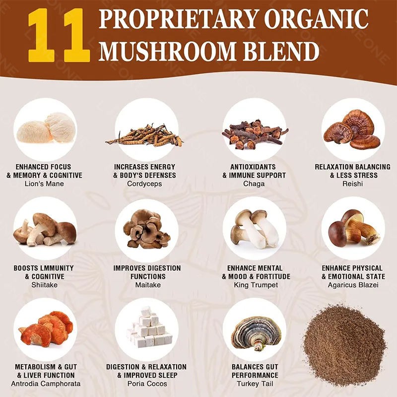 Organic Mushroom Coffee with Adaptogens & Probiotics | Lion's Mane & Cordyceps Complex