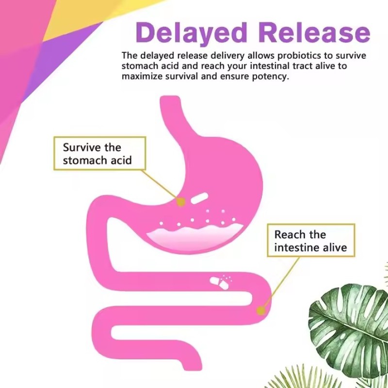 Men Digestive Health Enzymes Prebiotics Capsules for Saw Palmetto Cranberry Gut Immune Prostate Urinary Tract Health