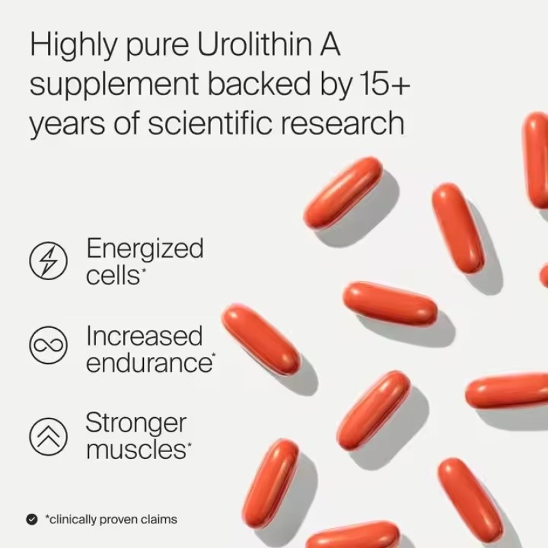High Quality Urolithin a Capsules  Comprehensive Antioxidant Support Boost Cellular Health Enhance Wellness