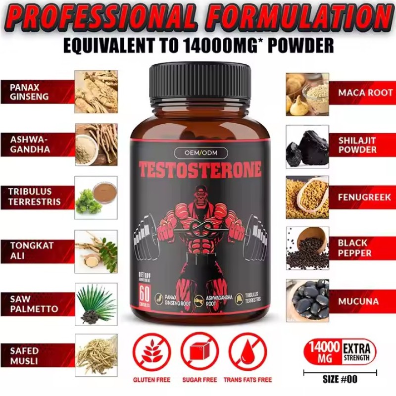 OEM Support Strength Immune Boost Energy Tribulus Terrestris Extract Maca Root Supplement Testo Supplement Ashwagandha Capsules