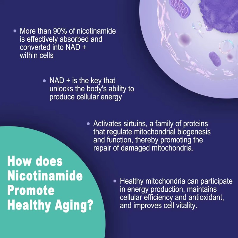 NAD+ Resveratrol Gummies Nicotinamide Adenine Dinucleotide Supplement Antioxidant Energy Vitality Booster for Daily Vitamins