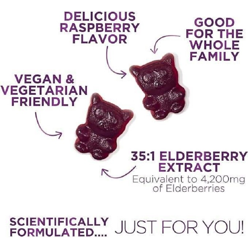 Vegetarian Elderberry Gummy with Echinacea Probiotics Vitamin c Zinc Adult-Immune Enhancement Elderberry Gummy