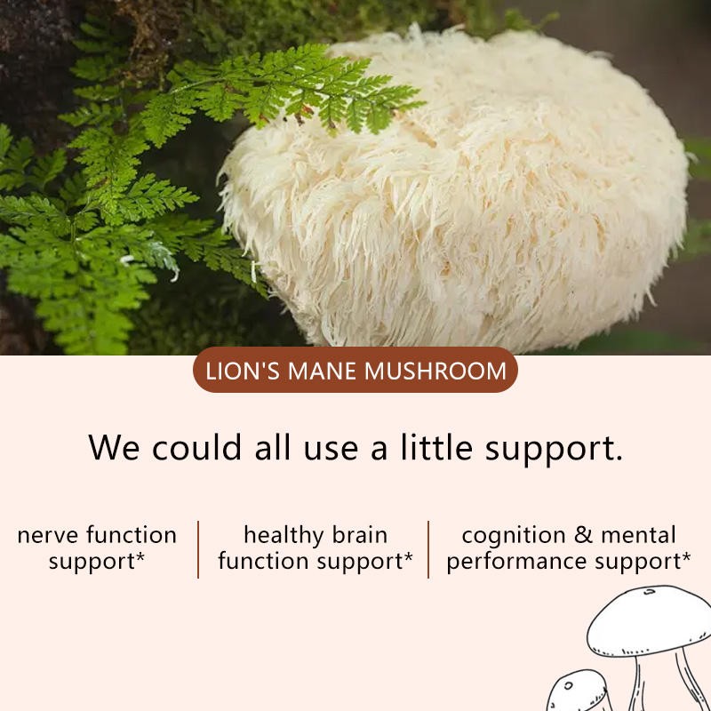 Organic Lions Mane and Ashwagandha Gummies for Focus Energy and Stress Relief with Cordyceps Reishi