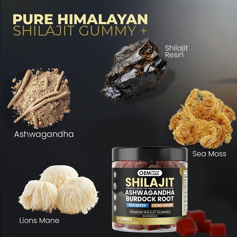 3-in-1 Herbal Gummy Shilajit Ashwagandha Antioxidant Enhance Energy Enhance Adult Seaweed Lion's Mane