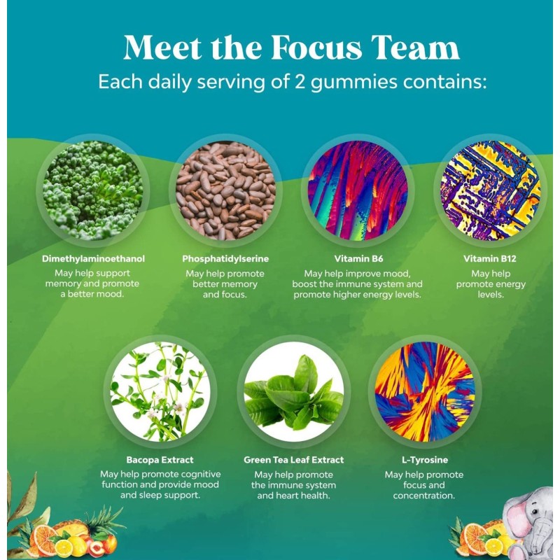 OEM Vegan Kids Focus Gummies - Vitamin B6, B12, Bacopa, Enhanced Focus & Energy