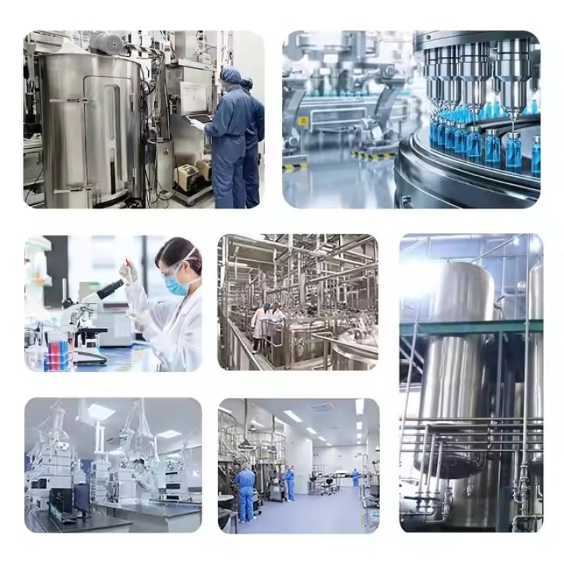 Private Label Organic Black Maca Root Powder Maca Extract Powder Natural Organic Men's Health Products