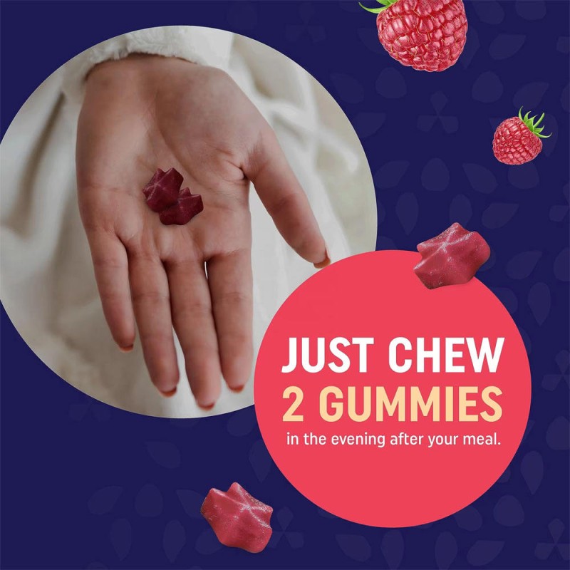 Sugar-Free Night Time Fat Burner Gummies with Melatonin Sleep Support Appetite Control for Pregnant Women Powder Dosage Form