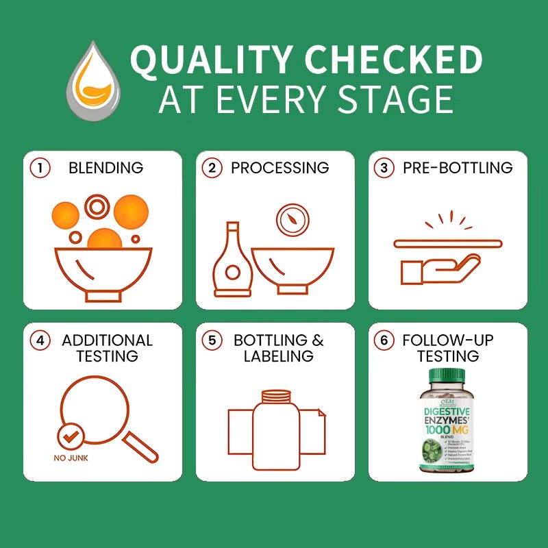 OEM Natural Digestive Enzyme Supplements Prebiotic Properties Capsules and Tablets for Adults Not for Pregnant Women