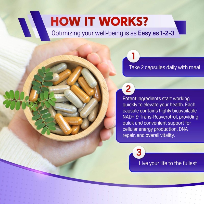 OEM Premium NAD+ Supplement with Trans Resveratrol, Berberine, Quercetin, Fisetin, and Milk Thistle for Enhanced Cellular Health