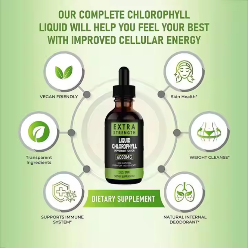 Extra-Strength Chlorophyll Liquid Drops  - Peppermint Flavor for Daily Detox & Immune Support
