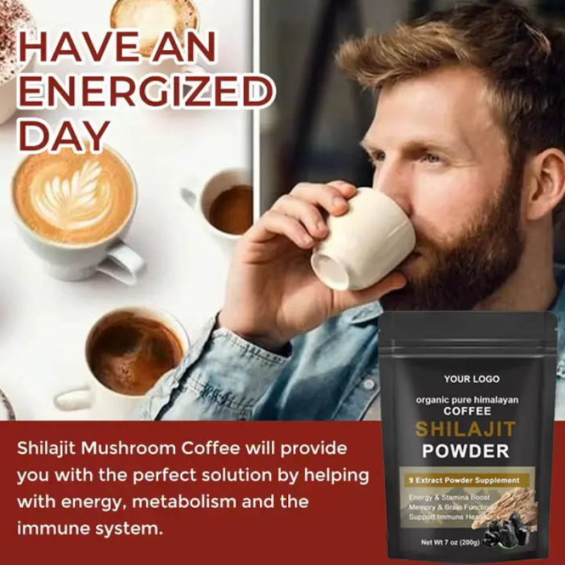 Private Label Pure Shilajit Extract Powder with Ashwagandha and Mushroom Blend for Energy and Immunity 300g