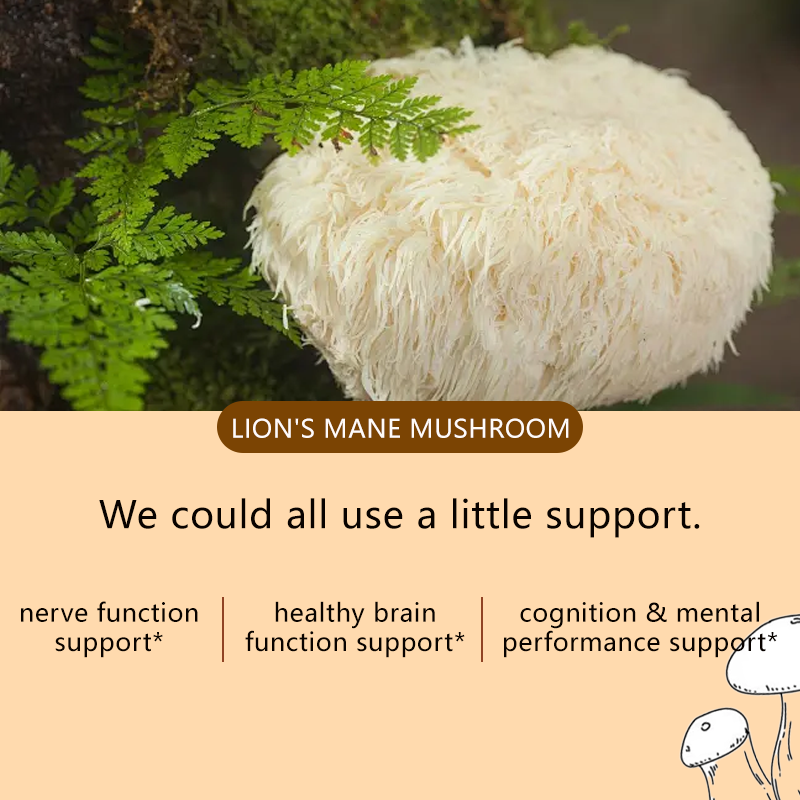 Premium Organic Lion's Mane Mushroom Capsules with 30% Beta-Glucans for Brain Health and Immune Support