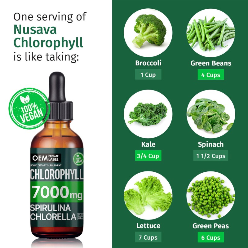 OEM 4-in-1 Vegan Chlorophyll Liquid Drops  with Copper for Energy, Gut, and Skin Health