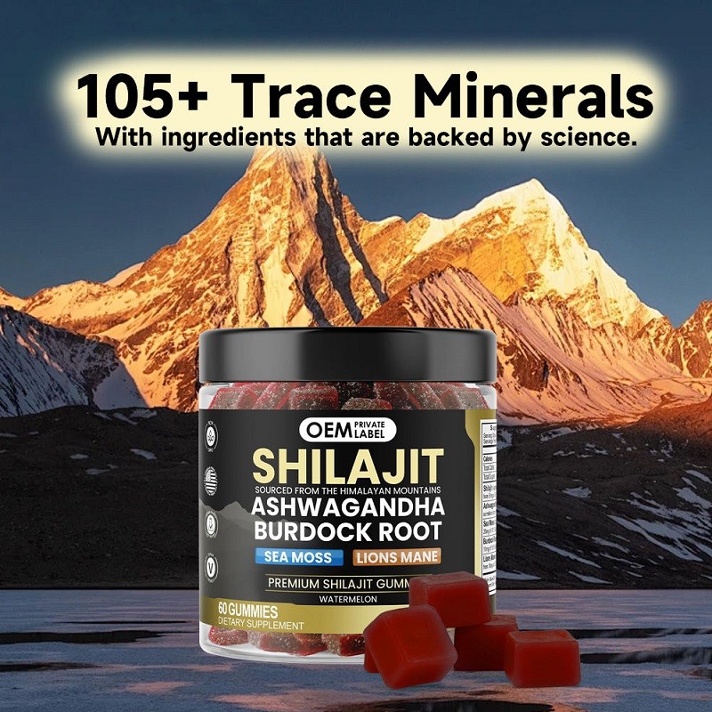 3-in-1 Herbal Gummy Shilajit Ashwagandha Antioxidant Enhance Energy Enhance Adult Seaweed Lion's Mane