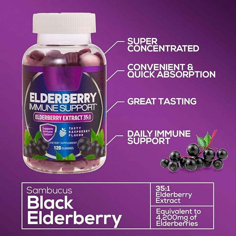 Vegetarian Elderberry Gummy with Echinacea Probiotics Vitamin c Zinc Adult-Immune Enhancement Elderberry Gummy
