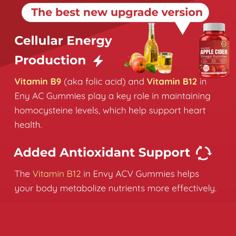 Apple Cider Vinegar Gummies With Vitamin B12 and Folic Acid for Detox Energy and Gut Health Vegan 60 Gummies