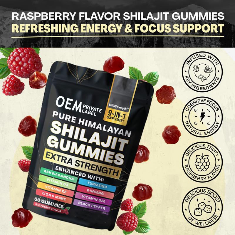 9-in-1 Shilajit Gummies with Ashwagandha & Vitamin D3 - Turmeric Ginseng Complex for Energy & Immunity