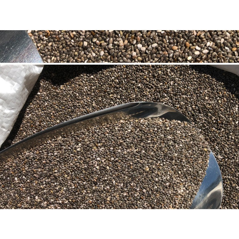 Factory Wholesale Chia Seeds Mexican Food Grade Breakfast Replacement Ingredients 500g