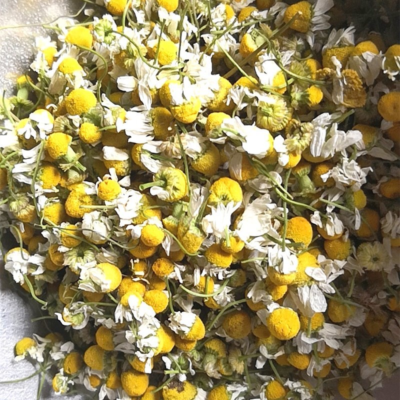 2025 Direct Supply of Bulk Chamomile Dried Flowers Petals Slimming Tea with Foam Base Wholesale Raw Processing Blooming Tea