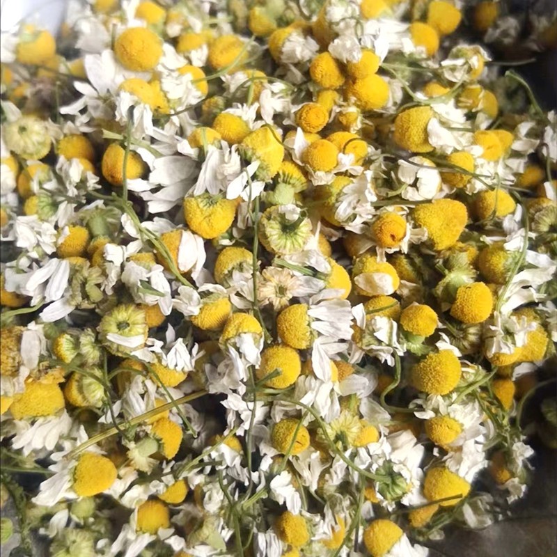 2025 Direct Supply of Bulk Chamomile Dried Flowers Petals Slimming Tea with Foam Base Wholesale Raw Processing Blooming Tea