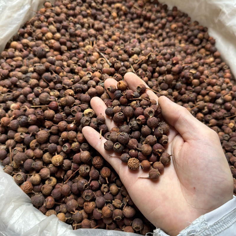 Chinese Herbal Medicine Tea Organic Whole Hawthorn Berries Fruit Dried Berry Bulk Packaging