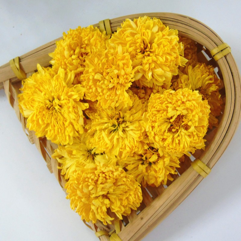 Factory Wholesales Organic Yellow Chrysanthemum Tea Popular Herbal Beverage with Health Benefits Freshly Processed Bag Packaging