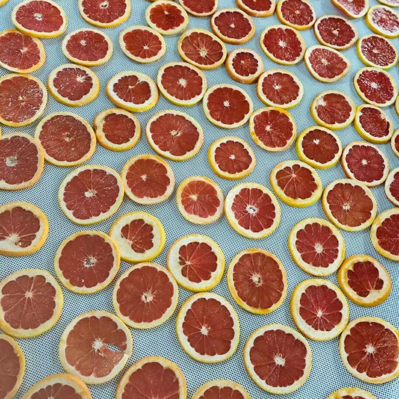 Wholesale Healthy Freeze-Dried Fruit Tea with Rich Vitamin C Natural Dehydrated Grapefruit in Cup Sachet or Bottle Packaging