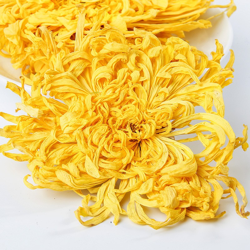 Popular Healthy Chrysanthemum Blossom Tea Factory Wholesales Chinese Flower Tea Food Beverage in Bag Packaging