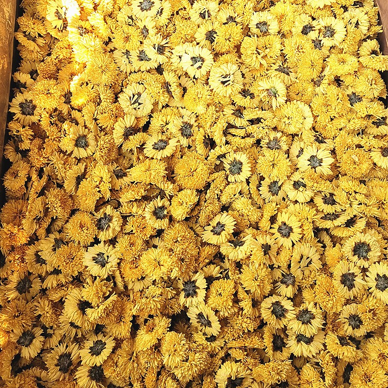 Popular Healthy Chrysanthemum Blossom Tea Factory Wholesales Chinese Flower Tea Food Beverage in Bag Packaging