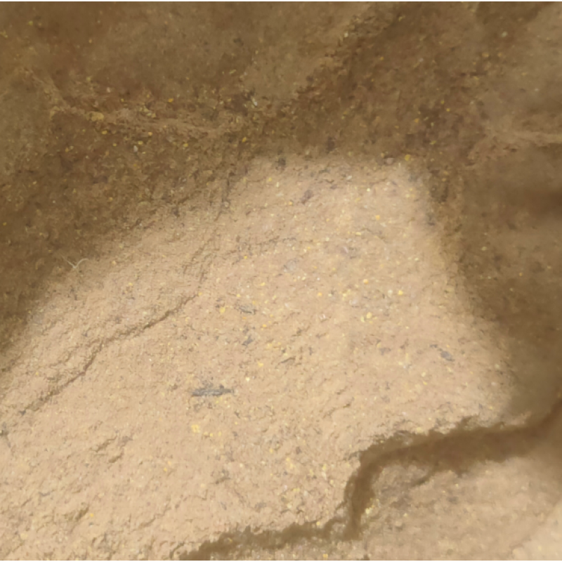 Rhizobacteria  Mycorrhizal Fungi  for Agriculture Plant Garden Corn Maize Wheat Etc