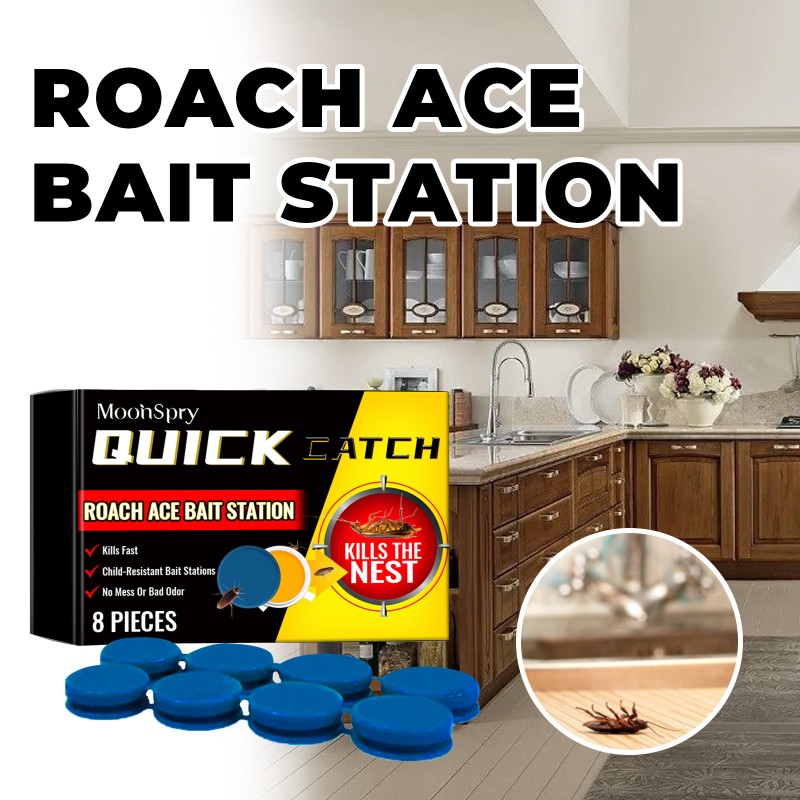 Roach Control Supplier - Household Kitchen Bathroom Bait Trap
