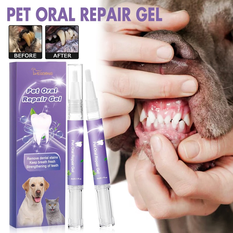 Pet Teeth Cleaning Pen Manufacturer - OEM Tartar Remover for Dogs and Cats